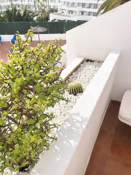 Apartamento Lucia Garden City Con Piscina Climatizada Playa Feñabe エクステリア 写真