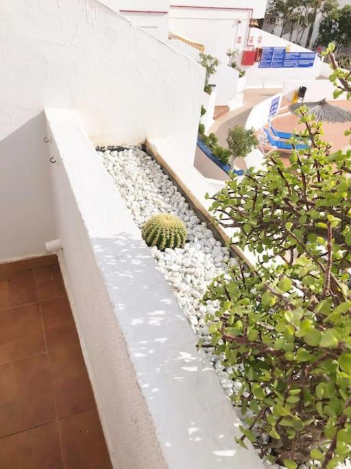 Apartamento Lucia Garden City Con Piscina Climatizada Playa Feñabe エクステリア 写真
